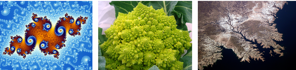 Fractals